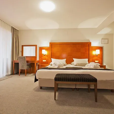 Hotel Spa&wellness Pinia